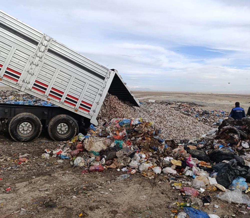Konya'da tır dolusu kokmuş balık yakalandı