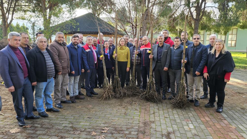 Aydın'da gal arısına dayanıklı "Ertan" dağıtıldı
