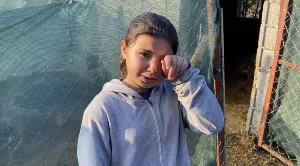 Sevdiği kuzuların ölümüne üzülen küçük kız gözyaşlarına boğuldu
