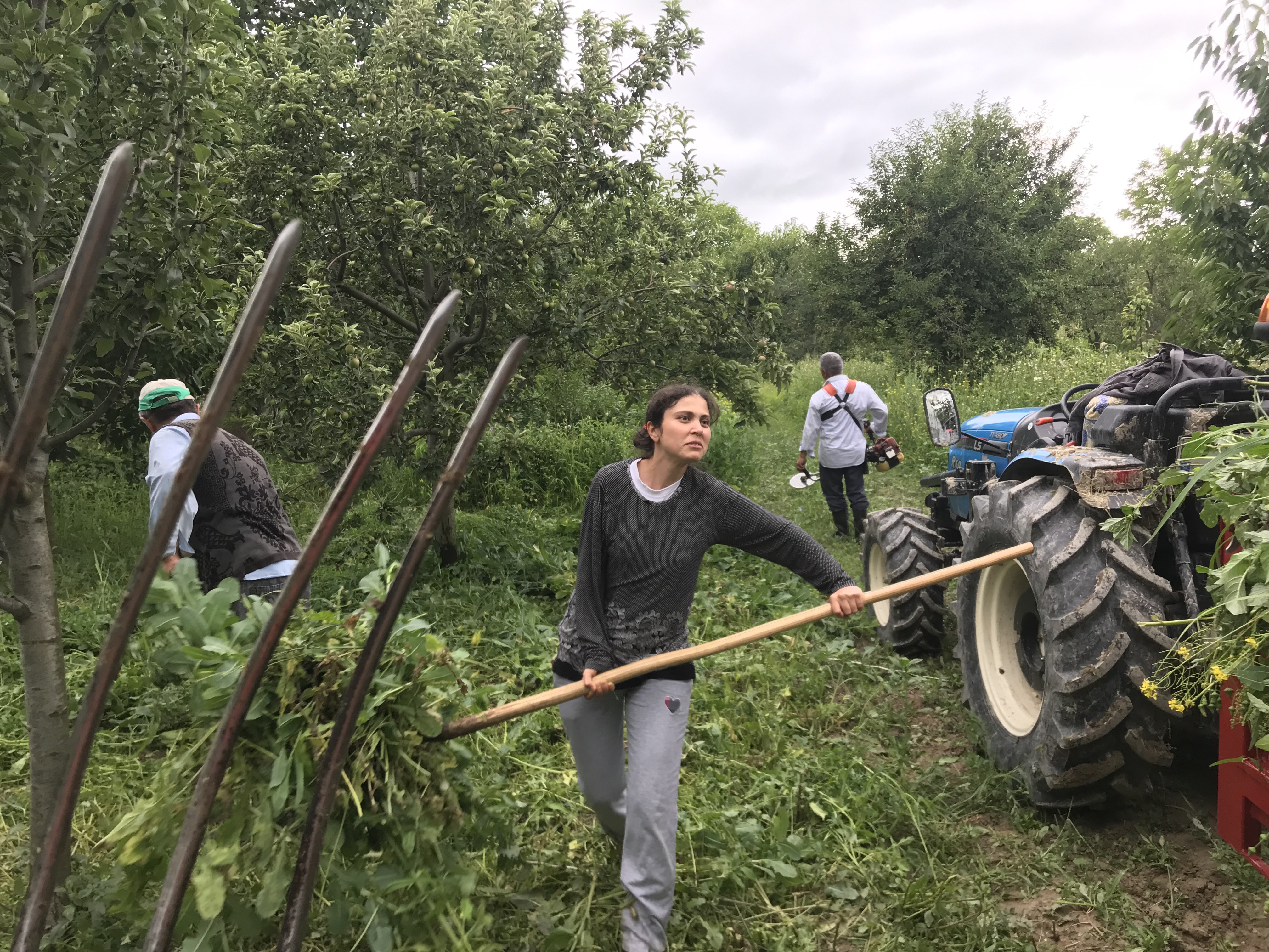 Tarım Bağ-Kur primleri ne kadar oldu