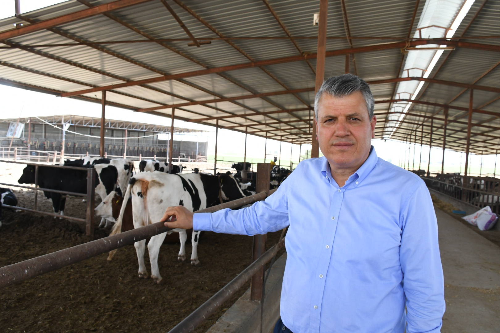 Çiğ süt fiyatına CHP'li Barut'tan tepki: "Süt fiyatı 23 lira olmalı"