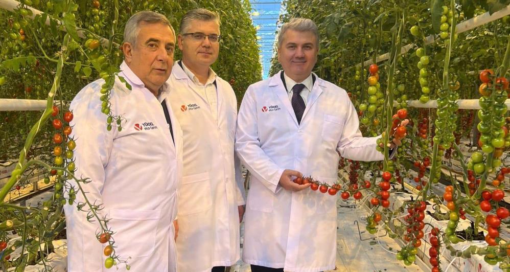 AK Parti'li Canbey: "Gönen Sera OSB'de yıllık 250 bin ton sebze üretilecek"