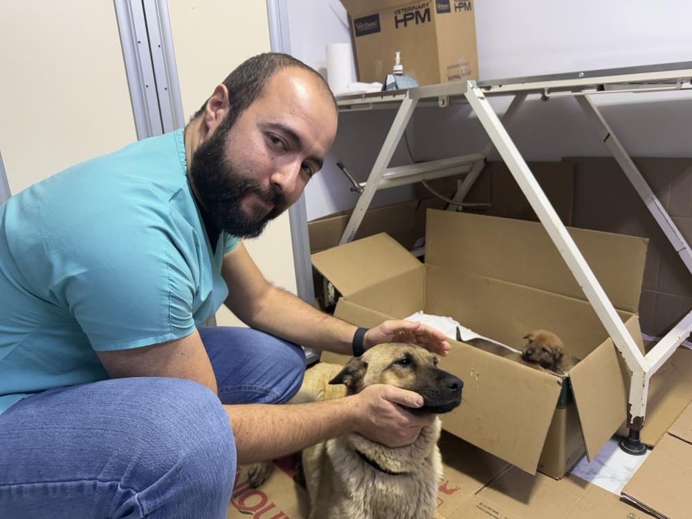 Yavrusunu ağzıyla veterinere getiren köpek yürekleri ısıttı