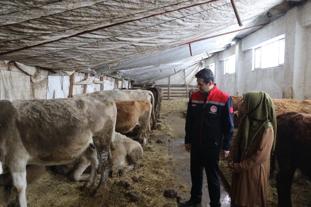 İzmir'den Ağrı'ya yerleşip hayvancılıkta başarı hikayesi yazdı