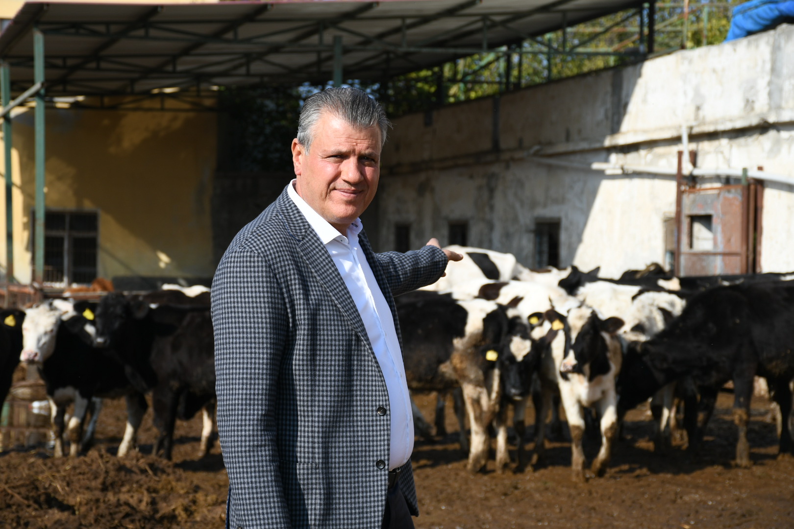 CHP'li Barut, ESK'nin 40 bin canlı hayvan tedariği yapmasına tepki gösterdi