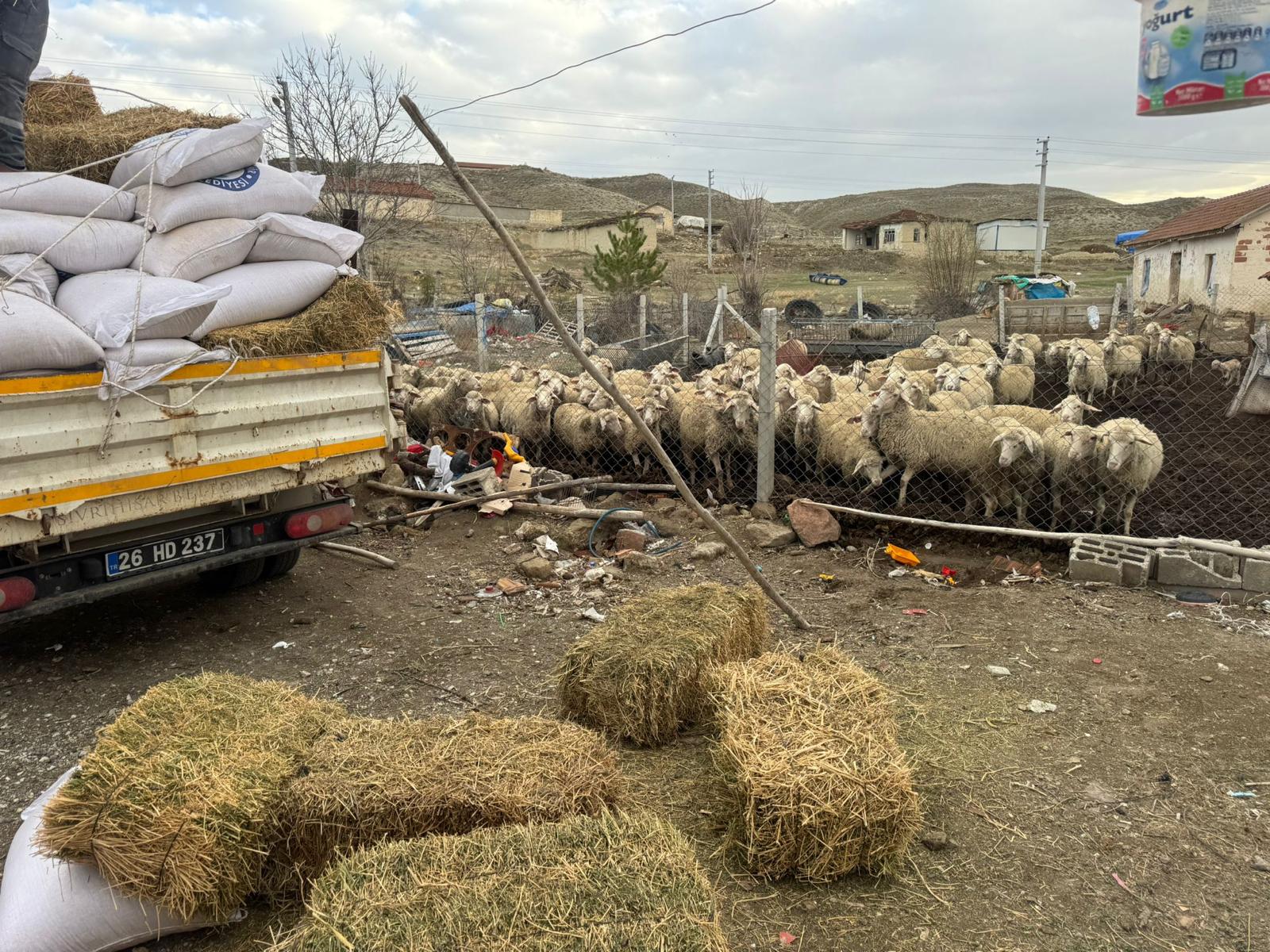 Saman fiyatları bir ay öncesine göre yüzde 10, eylüle göre yüzde 20 arttı