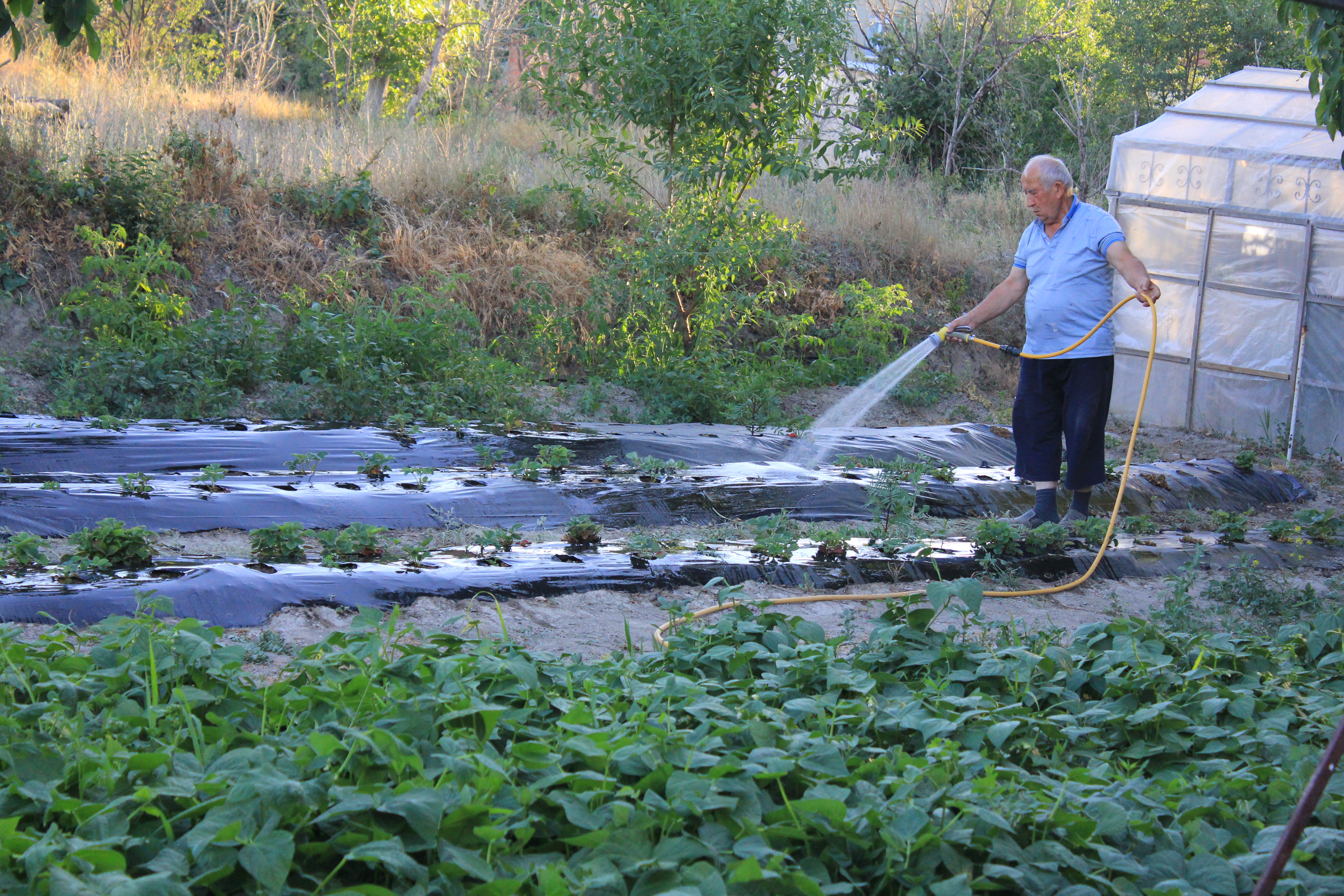 SGK ve Bağkur emeklisinin maaşı yüzde 15,75 artacak