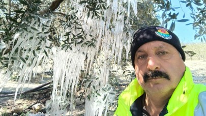 Mersin'de ağaçlarda buz sarkıtları oluştu