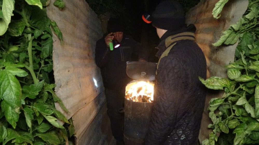 Mersin'de üreticiler dondurucu soğuklara karşı seralarda sobaları yaktı
