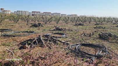 CHP'li Barut: "Adana'da TOKİ projesiyle tarım alanları talan ediliyor"