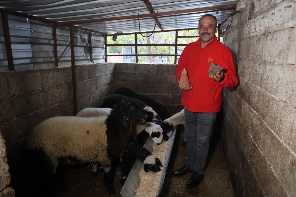 Hataylı besicinin taş merakı