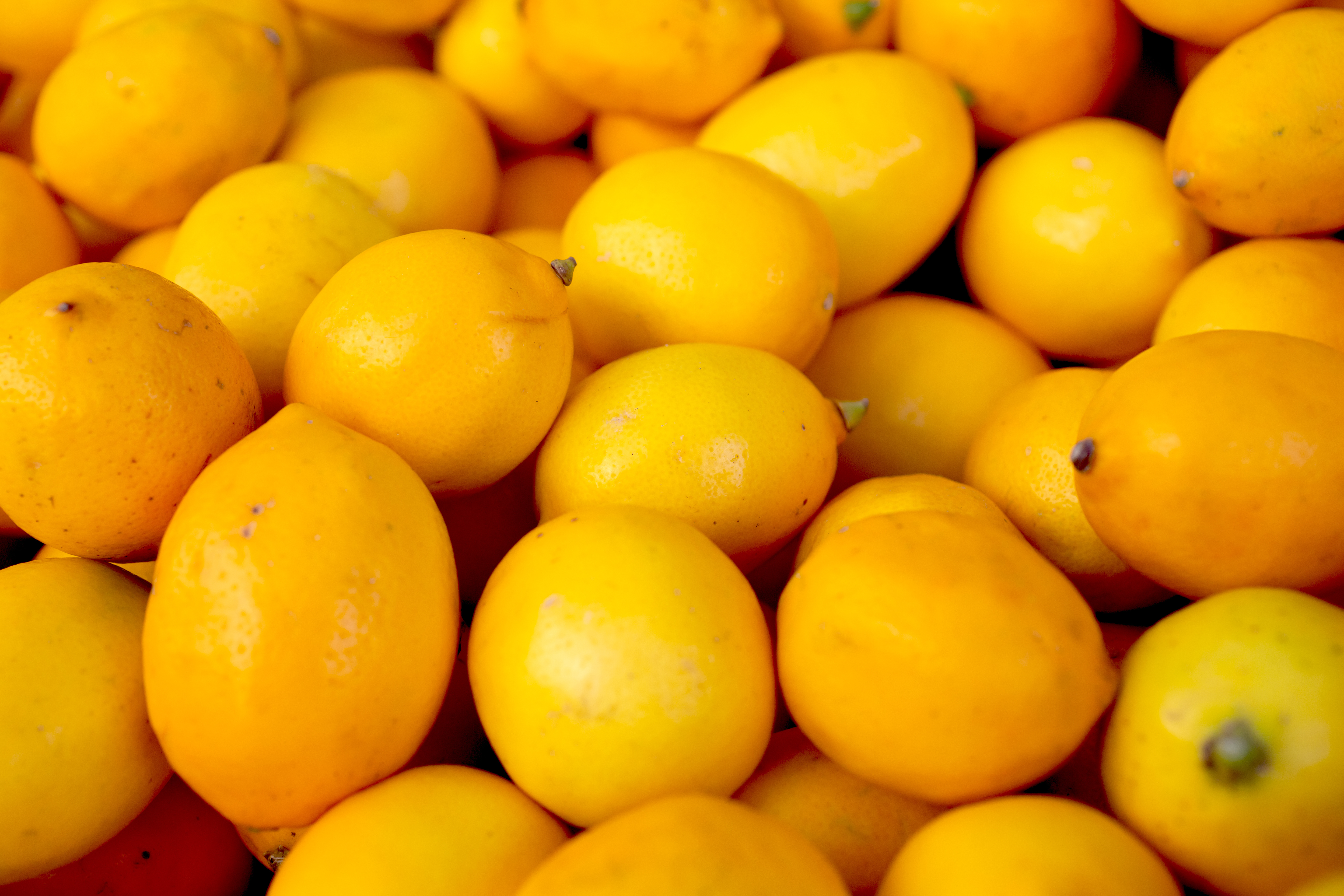 TZOB: Üreticide yüzde 45 düşen limonun fiyatı, sofraya gelene kadar 7 katına ulaşıyor