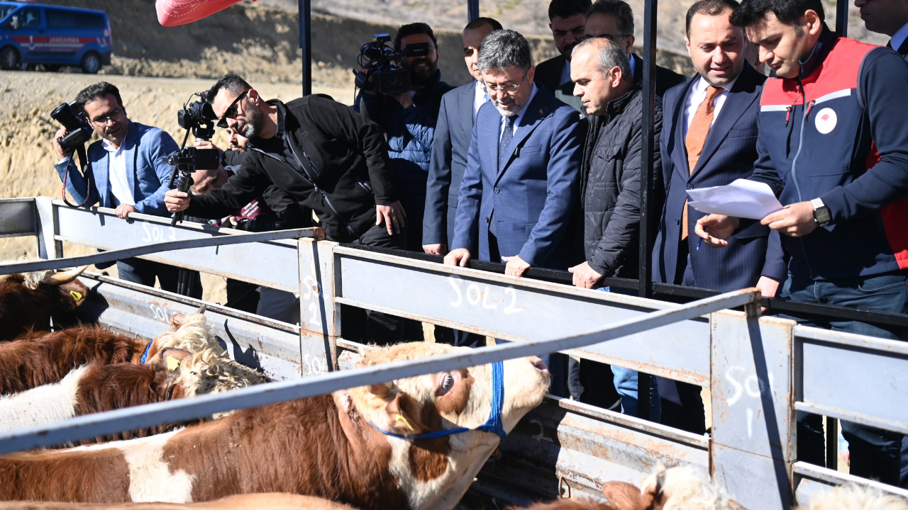 Cumhurbaşkanı Erdoğan'ın açıkladığı projede bu ay içinde dağıtım başlıyor