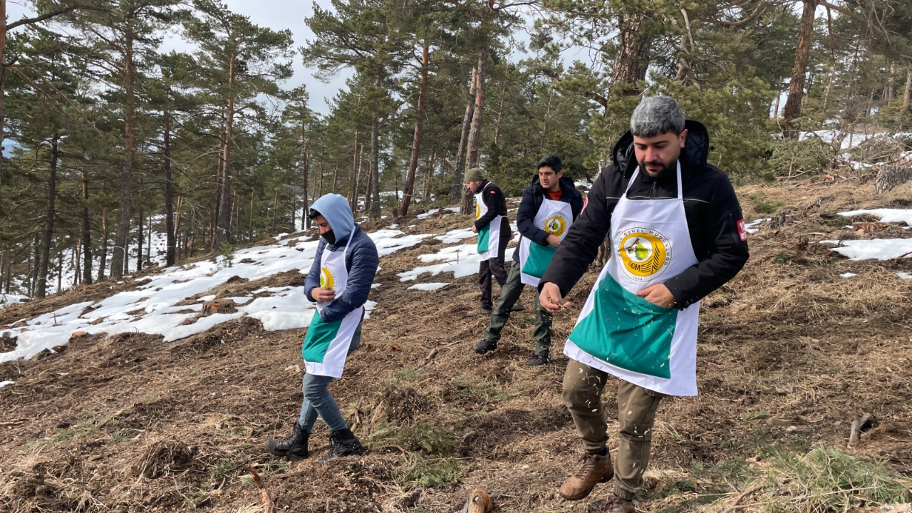 Orman Genel Müdürlüğü işçi ve mühendis alacak