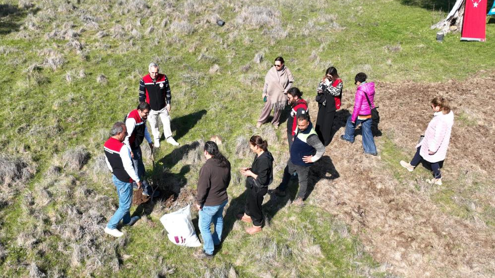 Urla'da kadınlar sakız fidanı dikti