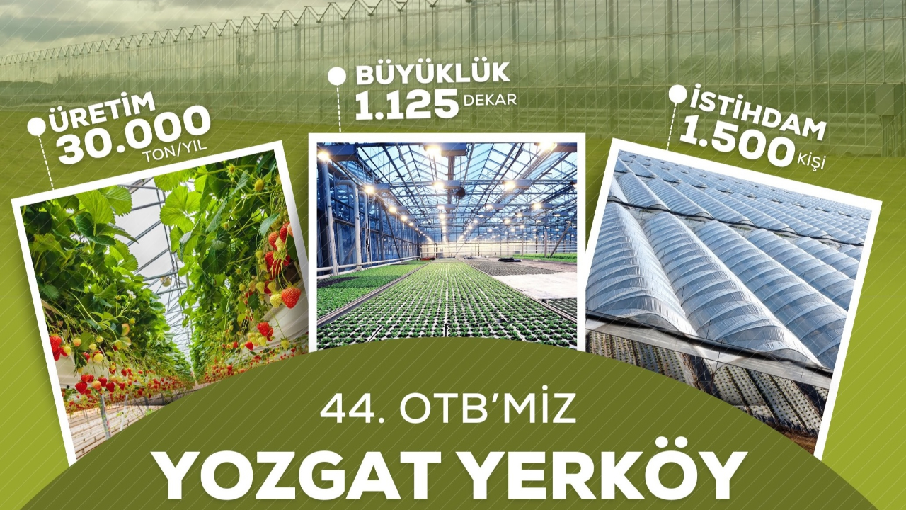 Yozgat'a kurulacak sera OSB'de yılda 30 bin ton üretim yapılacak
