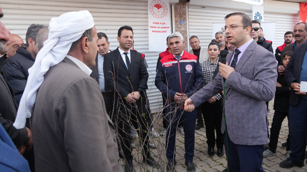 Cizre'de 16 bin fıstık ve bin badem fidanı dağıtıldı