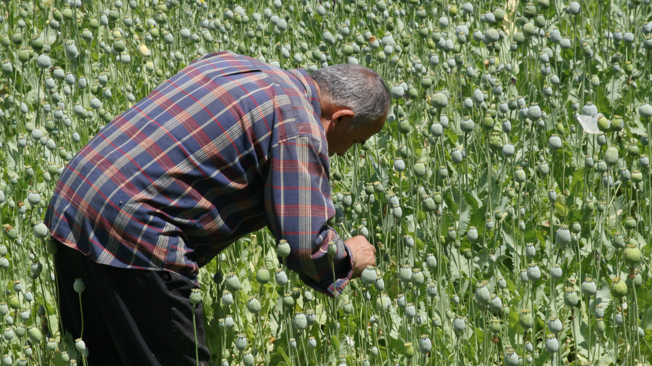 Tarımda üretici enflasyonu aylık yüzde 2,70 arttı