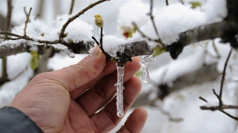 Meteoroloji'den zirai don uyarısı