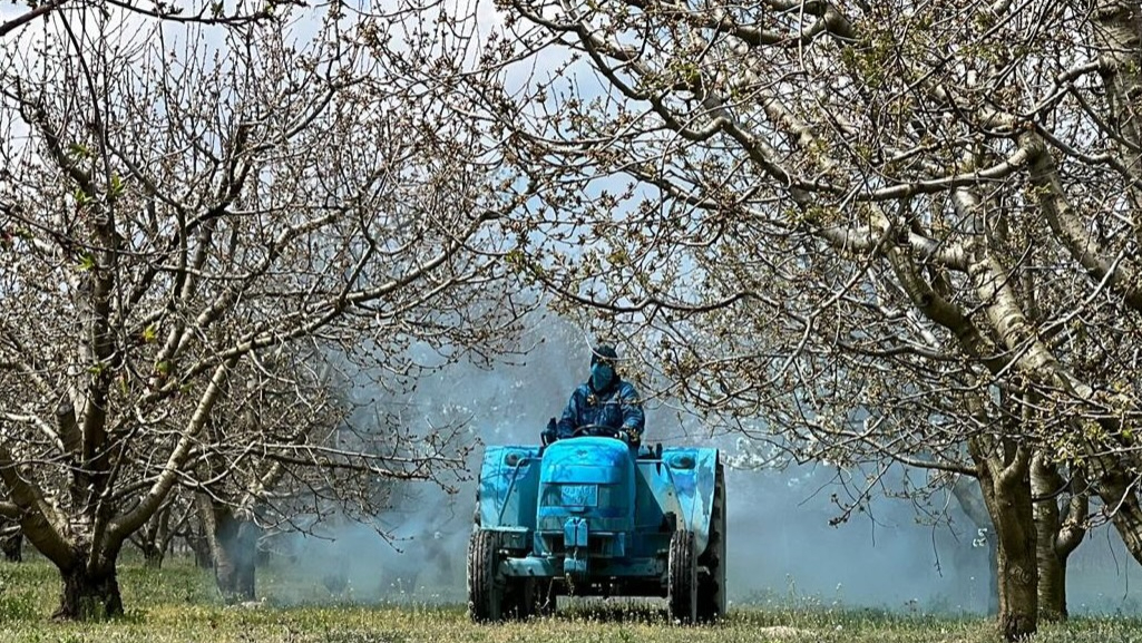 Tarımda maliyetler aylık yüzde 5,89 arttı