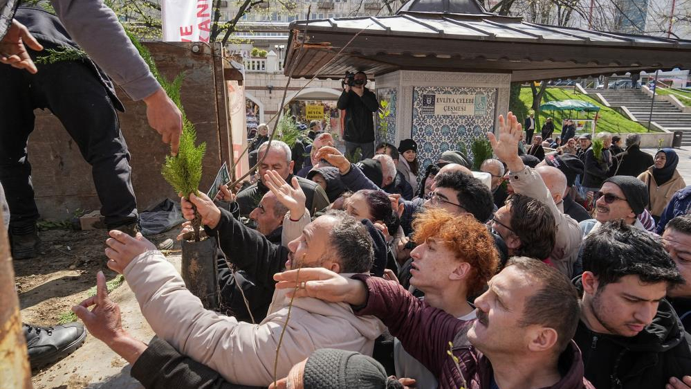 Fidan almak için büyük mücadele verdiler