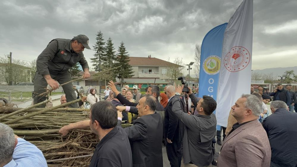 Düzce'de 5 bin kestane fidanı dağıtıldı