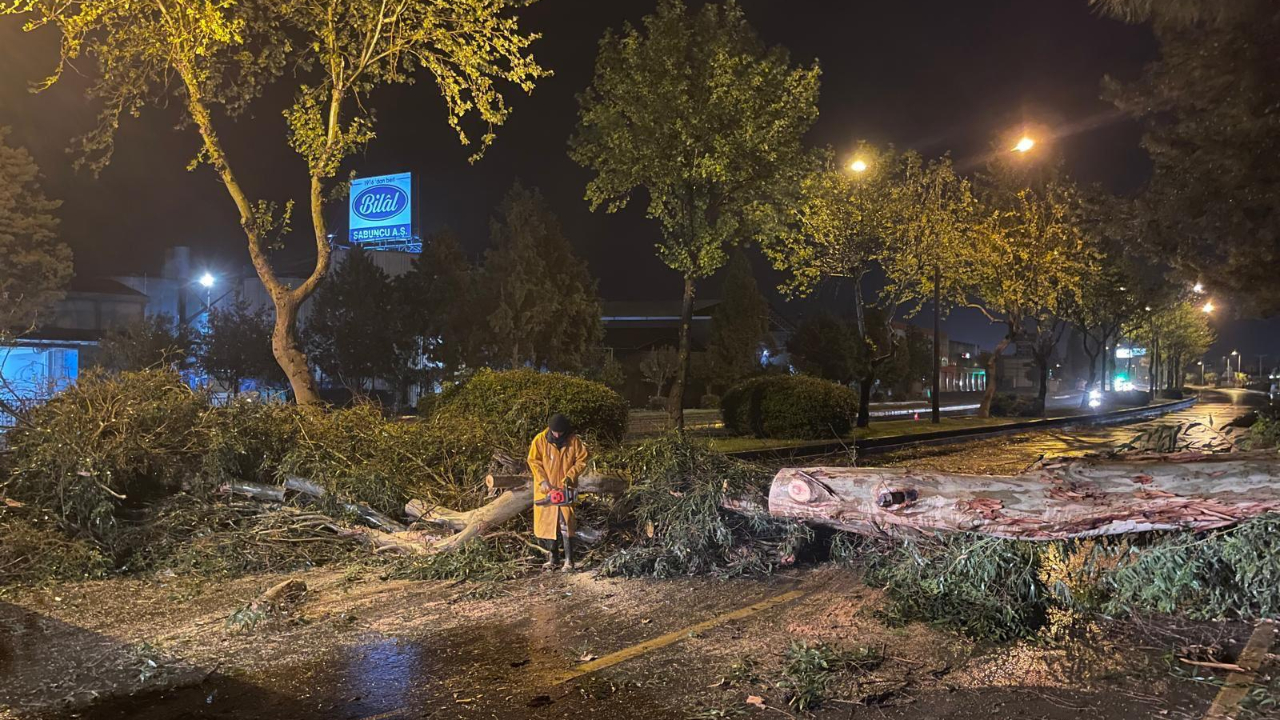Aydın'da ağaçlar devrildi çatılar uçtu