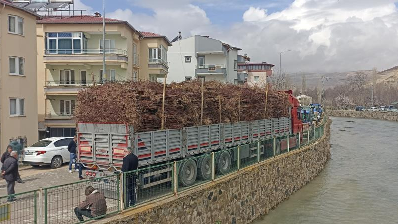 Sivas'ta üreticilere 50 bin kayısı fidanı dağıtıldı