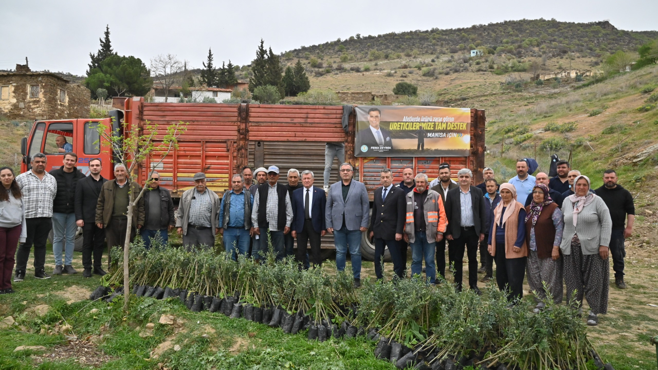 Manisa Büyükşehirden yangın mağduru çiftçilere fidan desteği