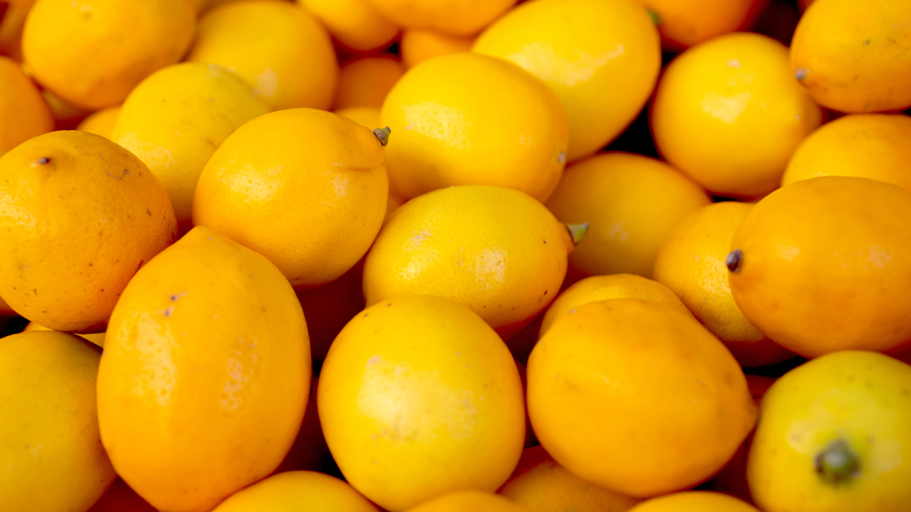 Limonda ihracat kısıtlaması bir gün sürdü