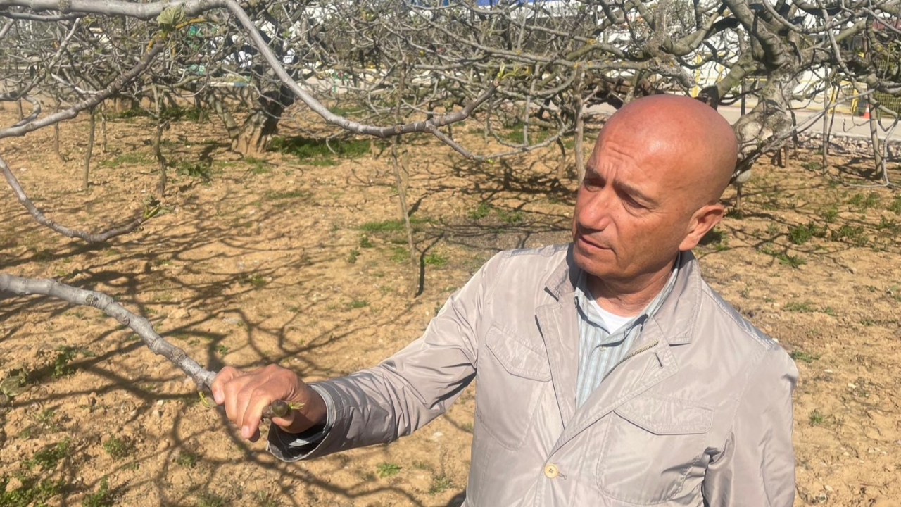 İhracatçılar "zirai don" nedeniyle karamsar değil