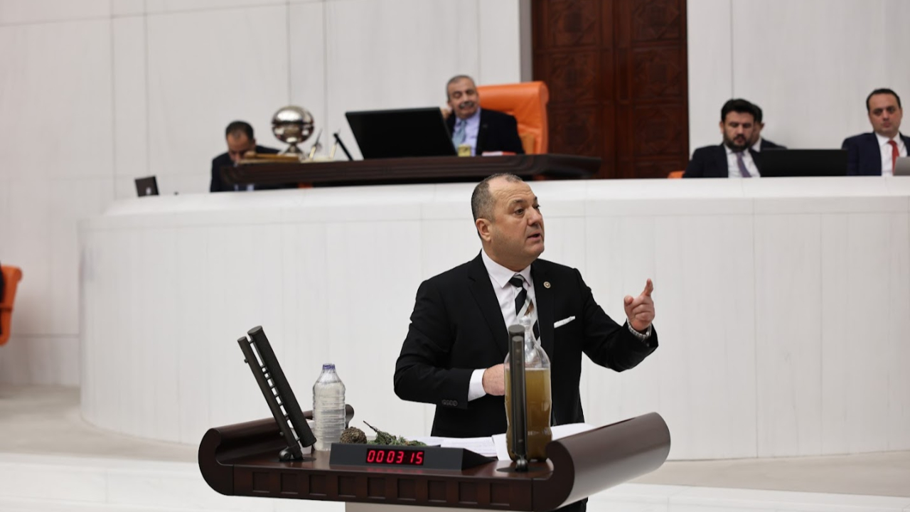 CHP'li Aygun: "Zirai dondan etkilenen alanlar afet bölgesi ilan edilmeli"
