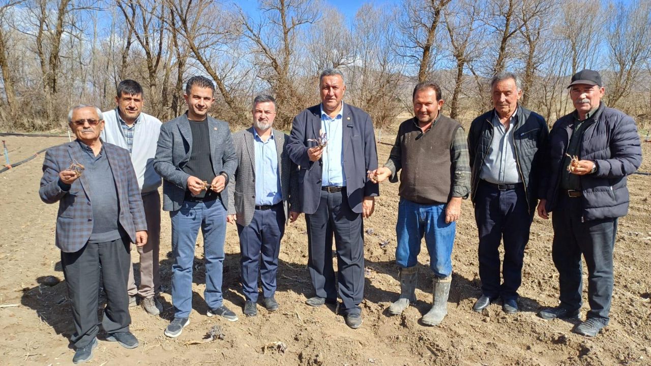Ürünü tarlada donan lahana üreticisi ikinci ekim için destek bekliyor