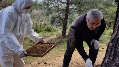 Sakarya'da ormana 5 bin terminatör böcek salındı