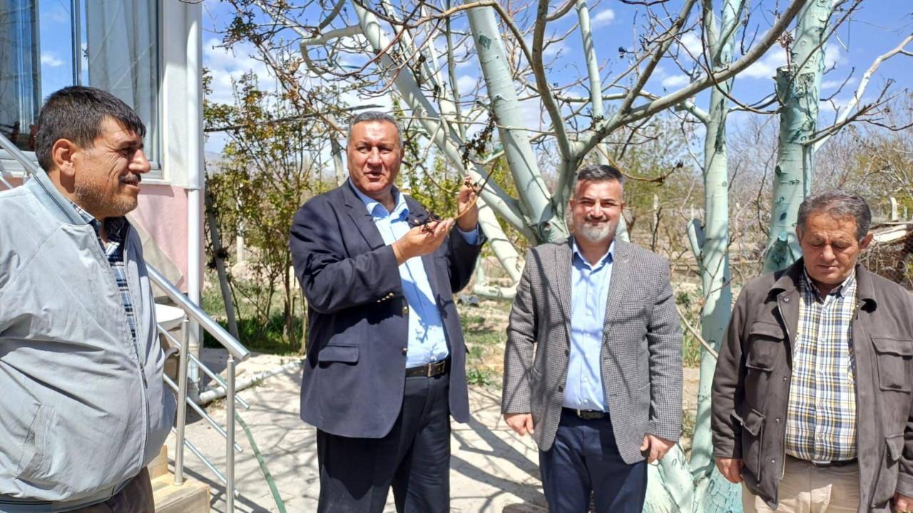 CHP'li Gürer: "Don zararının karşılanması için acil adım atılmalı"