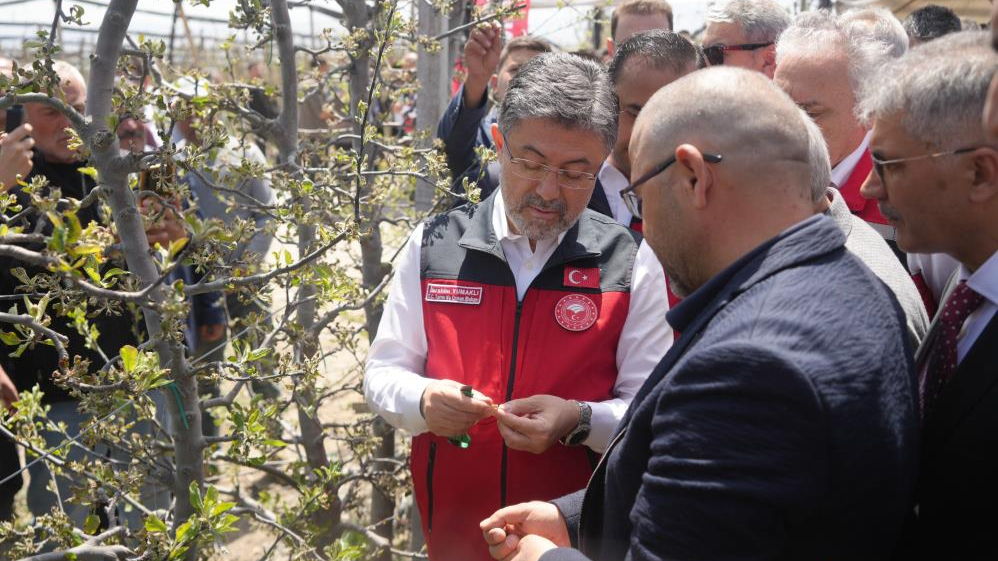 Bakan Yumaklı, Niğde'de elma bahçelerinde inceleme yaptı