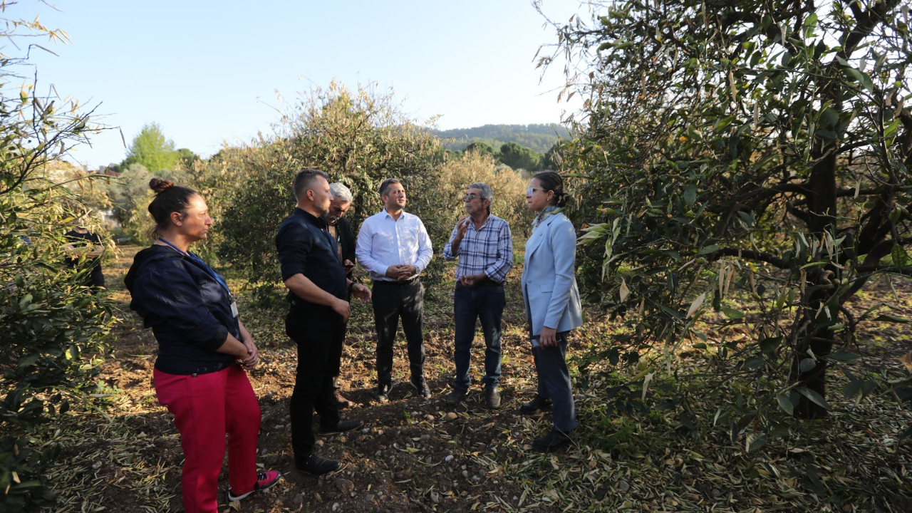 Muğla'daki zirai donun zararı gübre desteğiyle tedavi ediliyor