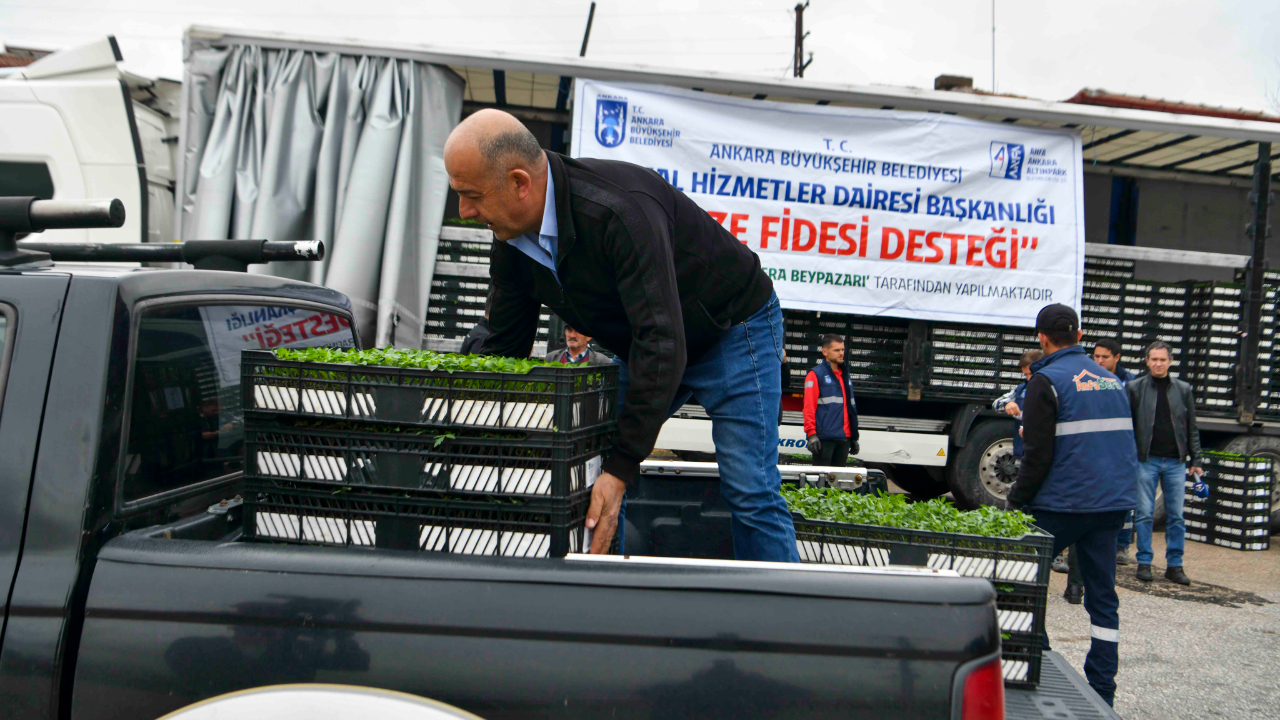 Ankara Büyükşehir, yüzde 50 hibeyle 1 milyonun üzerinde sebze fidesi dağıttı