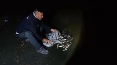 Göç ederken avlanan inci kefalleri tekrar dereye bırakıldı