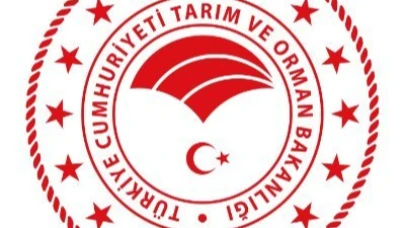 Konya'da sağlıksız 50 ton eritme peyniri imha edildi