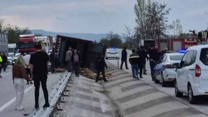 Çay'da devrilen kamyondaki 53 koyun telef oldu 17'si kesildi