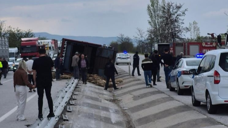 Çay'da devrilen kamyondaki 53 koyun telef oldu 17'si kesildi