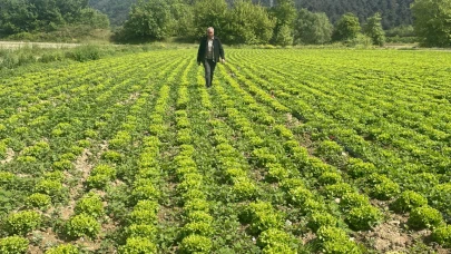 DSİ göl havzasından "çıkın" diyor çiftçiler 45 gün süre istiyor