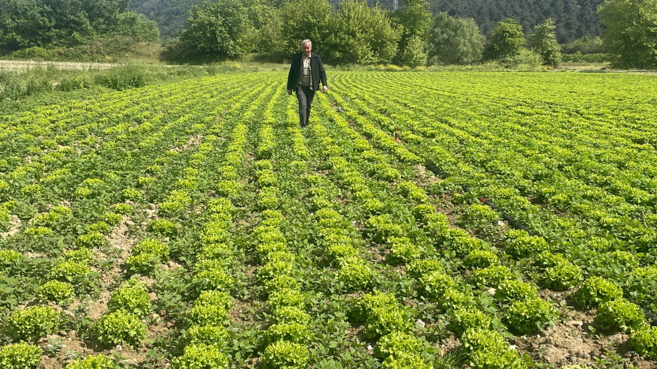 DSİ göl havzasından "çıkın" diyor çiftçiler 45 gün süre istiyor