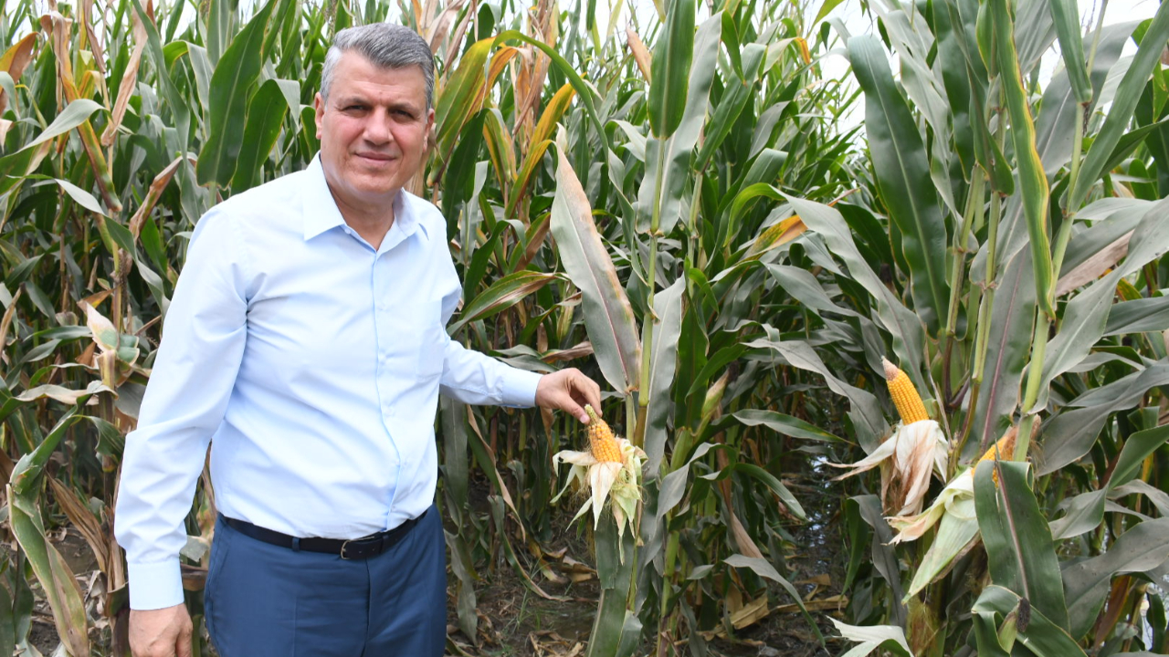 Gümrüksüz 1 milyon ton mısır ithalatı kararına tepkiler
