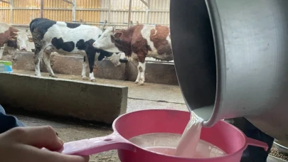 4 milyon tondan fazla süt sokak sütçüsüne, dondurmacı ve pastanelere satıldı