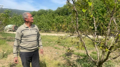 Çiftçiler "cennet hurması"nın da don zararı kapsamına alınmasını istiyor