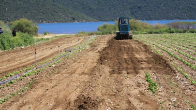 Çiftçilere verilen süre doldu DSİ göl havzasındaki ekili arazileri düzledi
