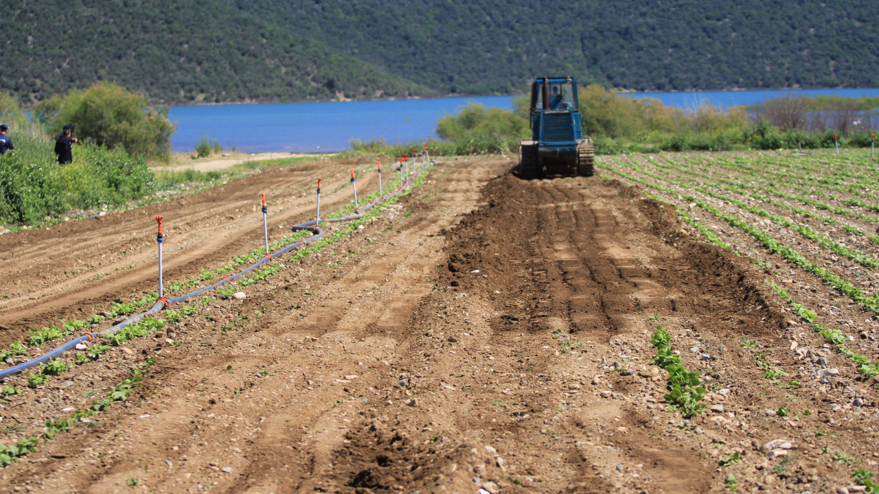 Çiftçilere verilen süre doldu DSİ göl havzasındaki ekili arazileri düzledi