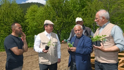 Osmangazi Belediyesi dağ köylerinde ahududu üretimini yaygınlaştırmayı hedefliyor